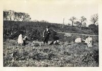 https://www.corkdigitalarchive.ie/files/original/d9fa1c43755de1209623b2e2a3fccb32.jpg